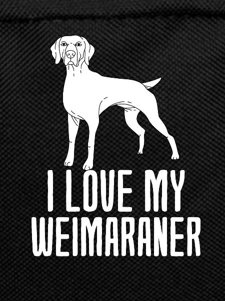 Weimaraner