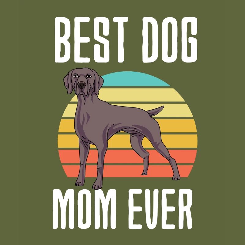 Weimaraner