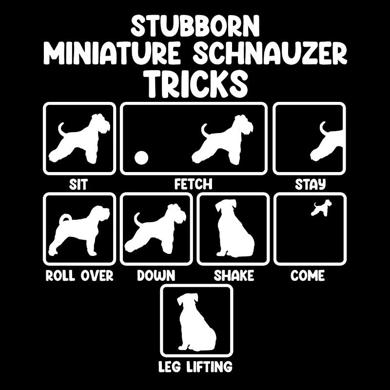 Zwergschnauzer
