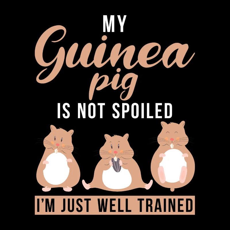 Süßes Meerschweinchen Geschenk