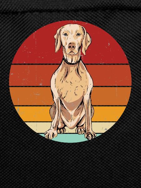 Weimaraner