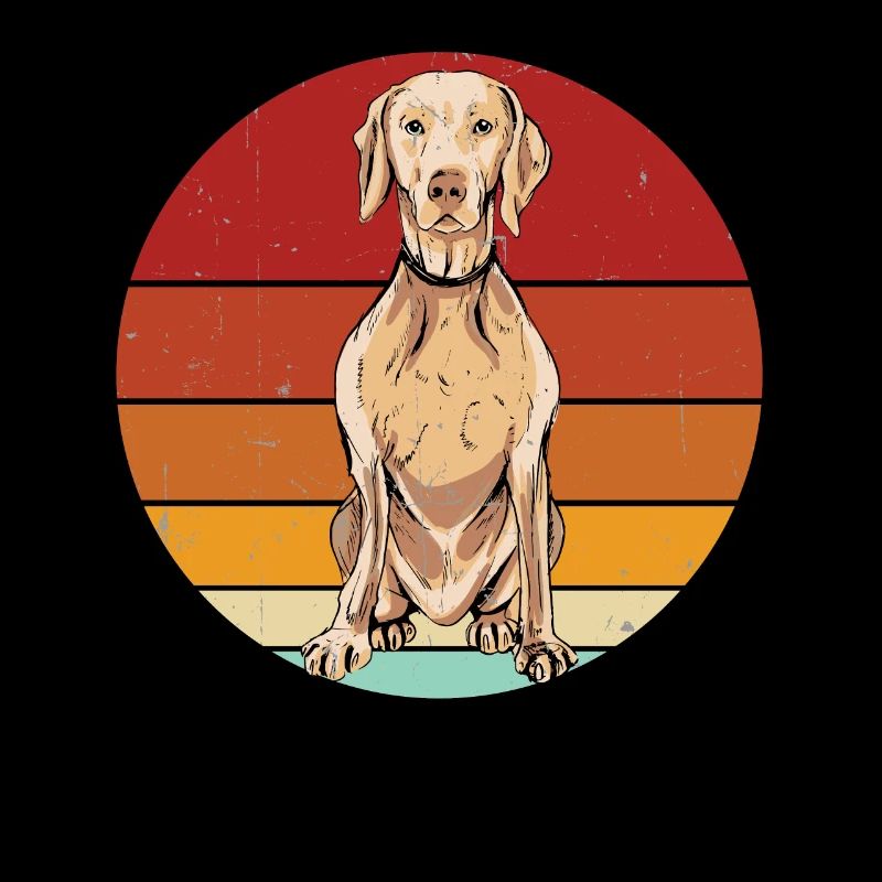 Weimaraner