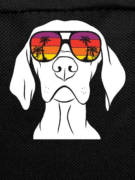 Weimaraner