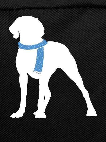 Weimaraner