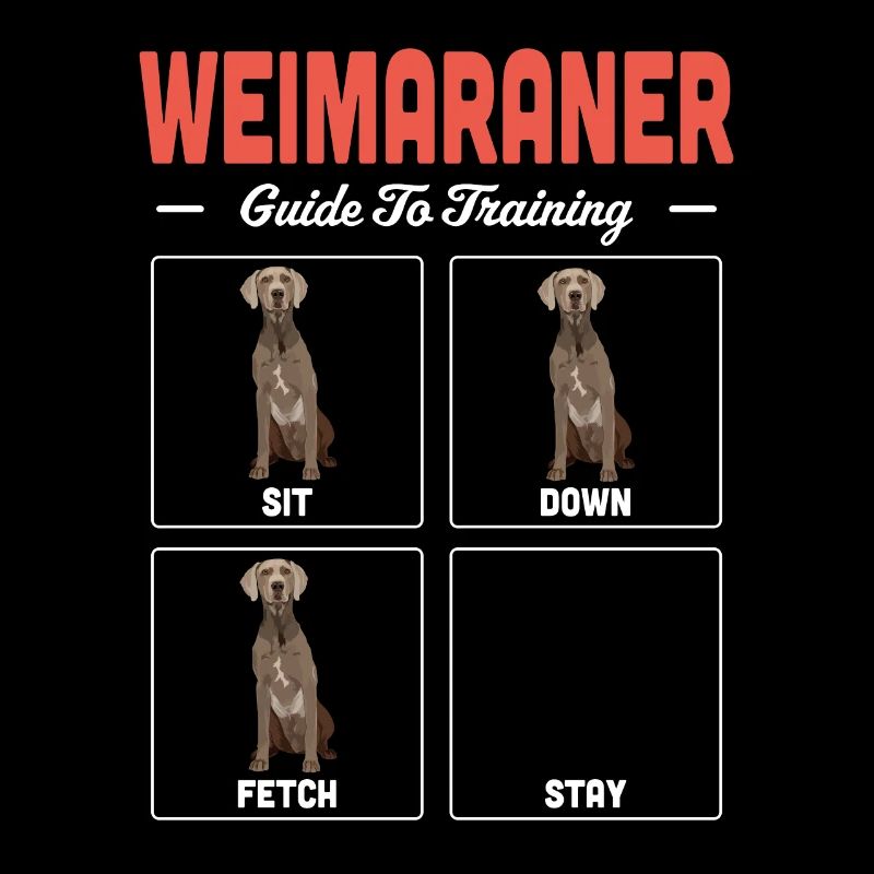 Weimaraner