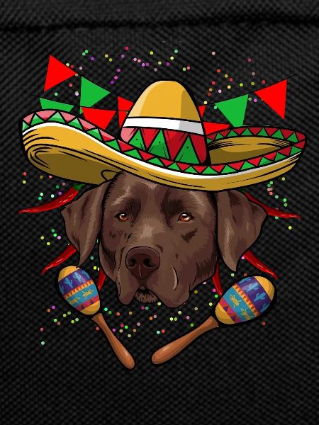 Cinco De Mayo Labrador