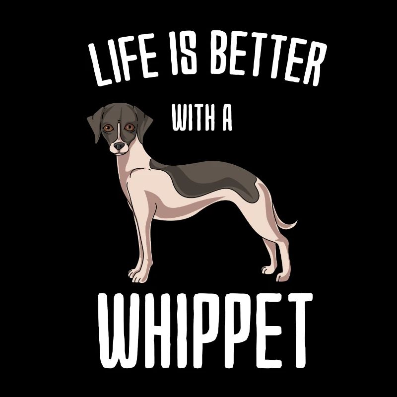 Whippet