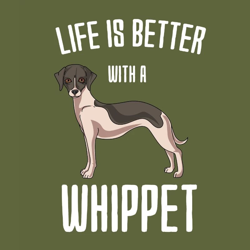 Whippet