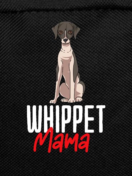 Whippet