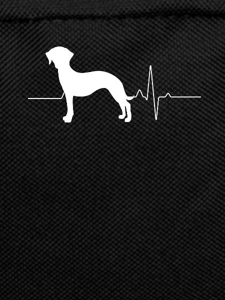 Whippet