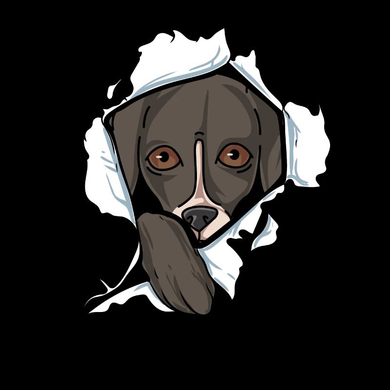 Whippet