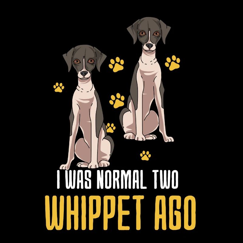 Whippet