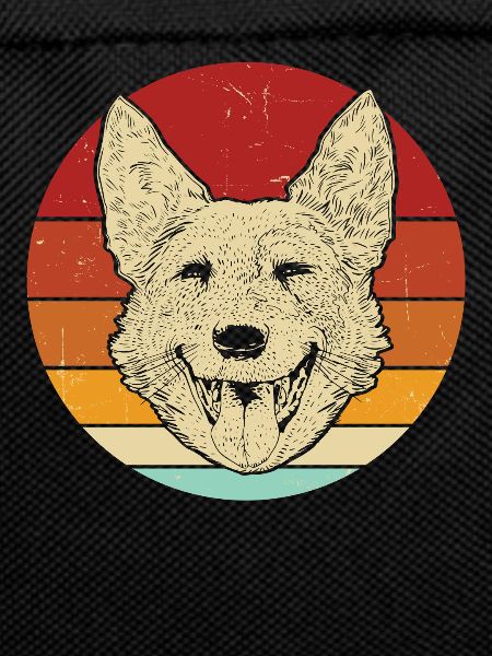 Australian Cattle Dog