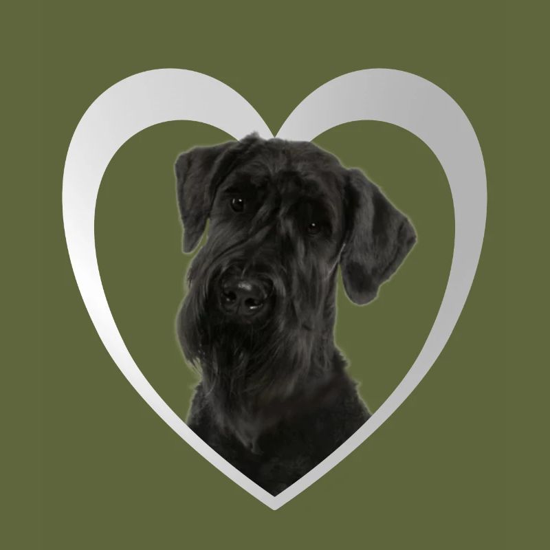 Cœur de Schnauzer géant - J’aime le Schnauzer géant