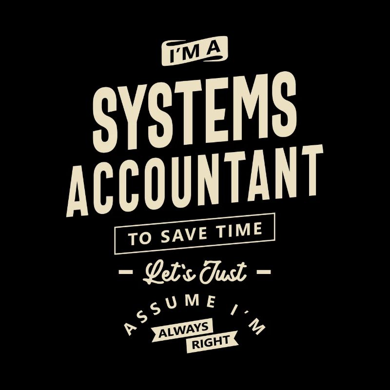 Systems Accountant Job Title Profession