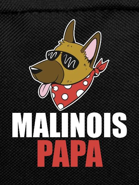 Dog Malinoi's dad