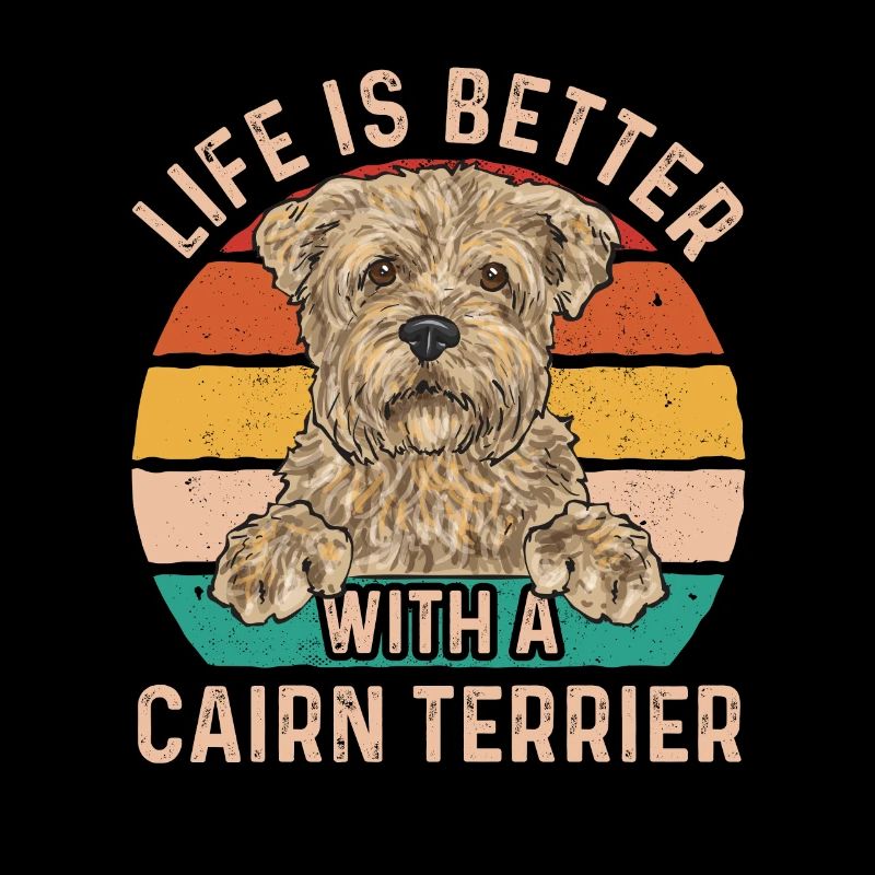 Cairn Terrier Chien