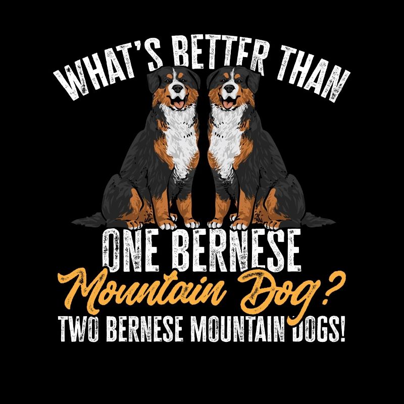 Berner Sennenhund