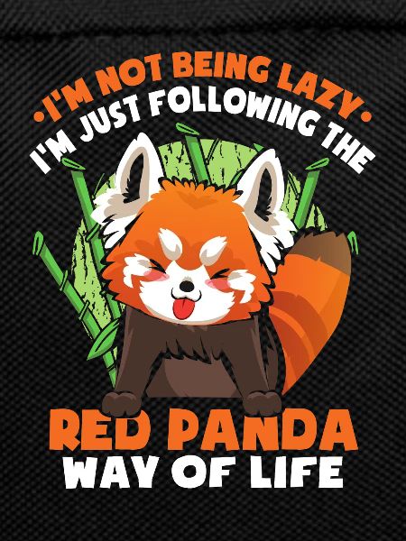 I'm Not Being Lazy