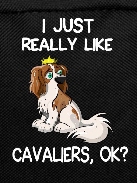 I Just Really Like Cavaliers