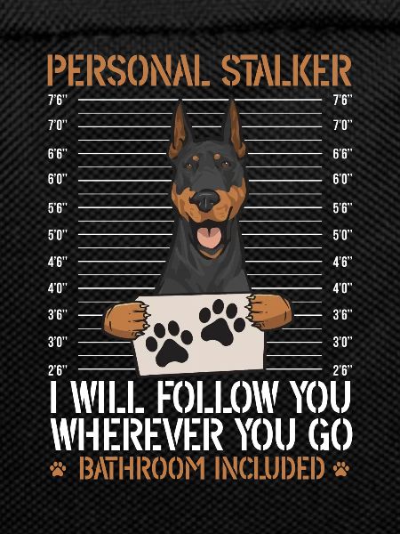 Doberman Pinscher Dog Dobie