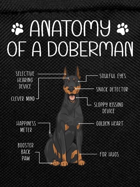 Doberman Pinscher Dog Dobie