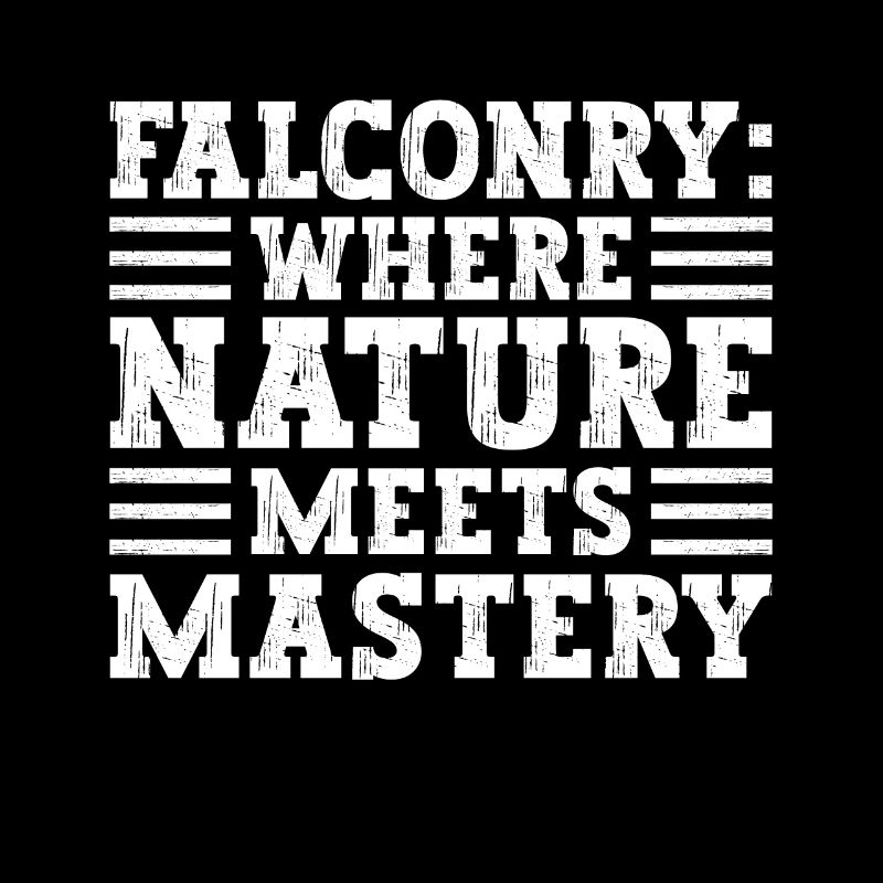 Falconry Where nature meets mastery
