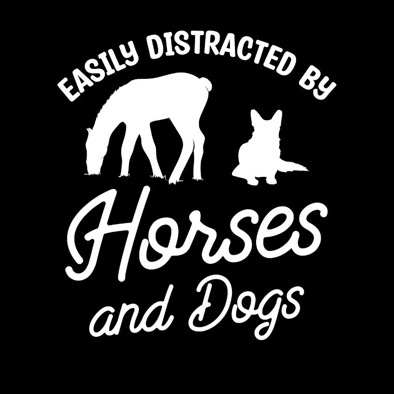 Facilement distrait par les chevaux et les chiens Chien de cheval