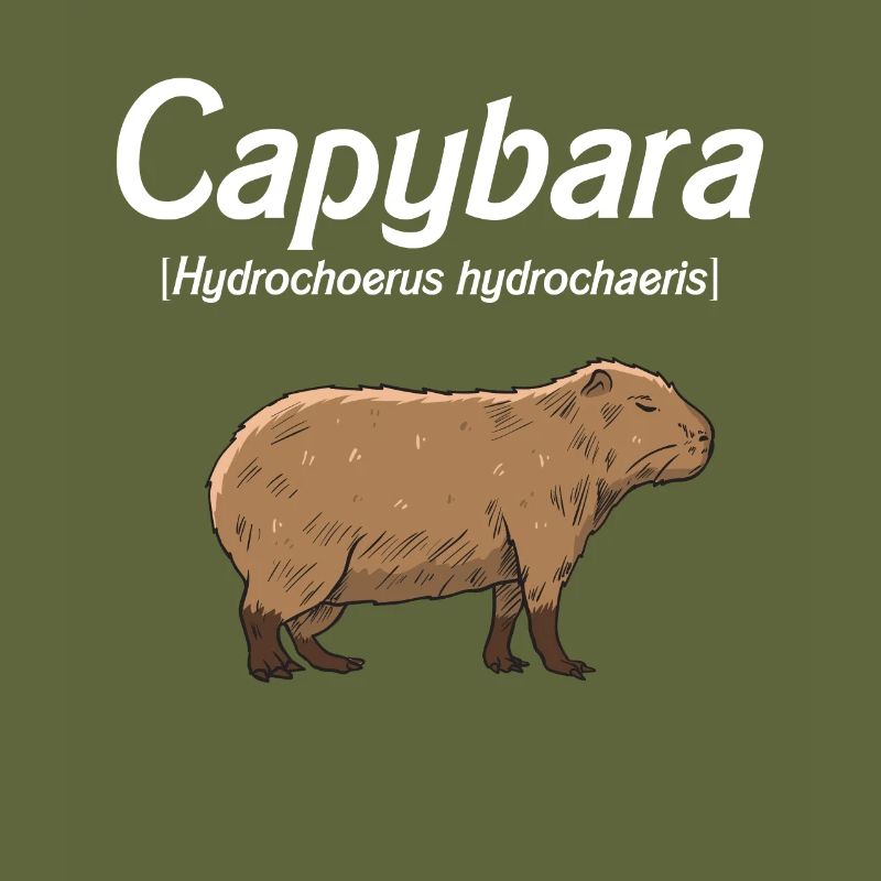 Capybara Geschenk Idee Süß Wasserschwein Capybara