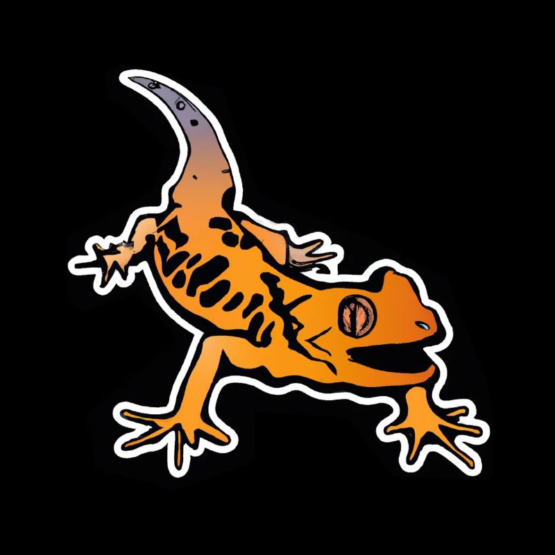 Salamander Gecko Comic