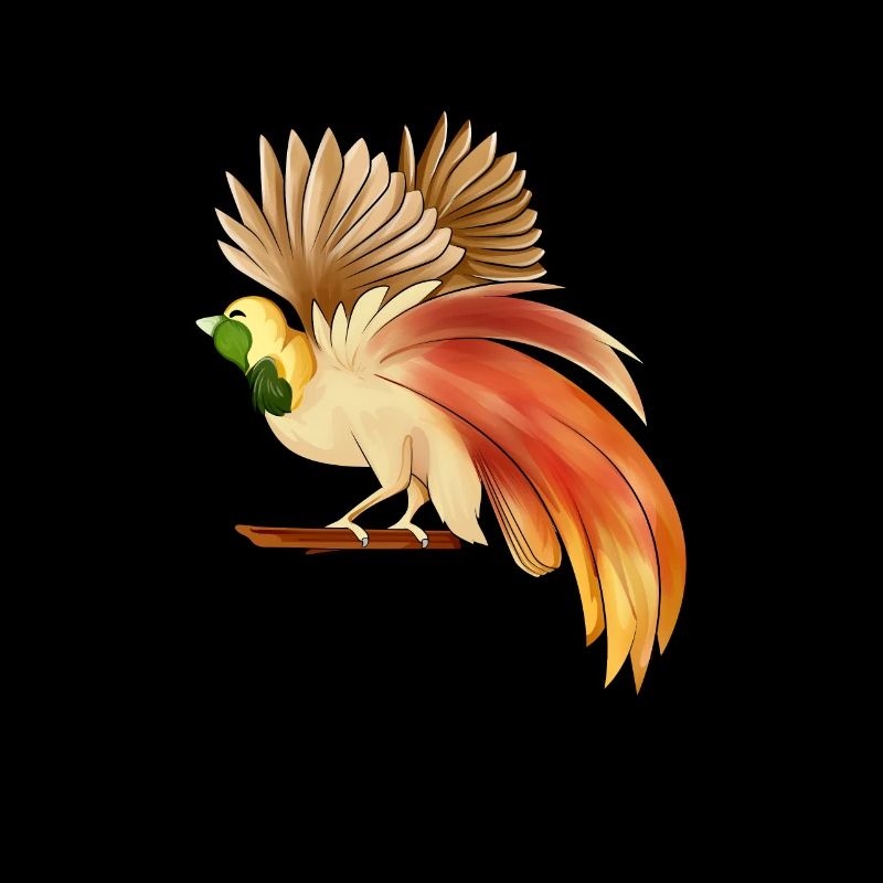 Dessin d’un oiseau de paradis raggi