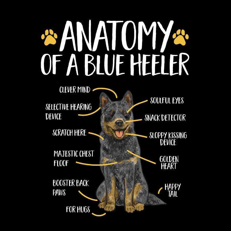 Australian Cattle Dog Red Blue Heeler