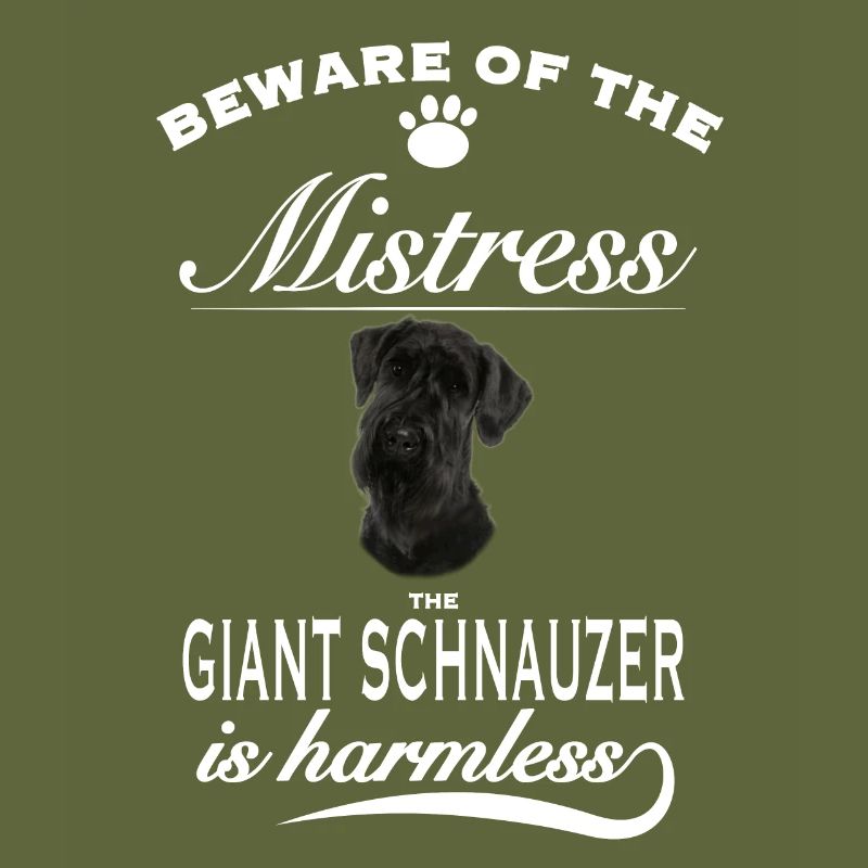 Méfiez-vous de la maîtresse, inoffensive Schnauzer géant