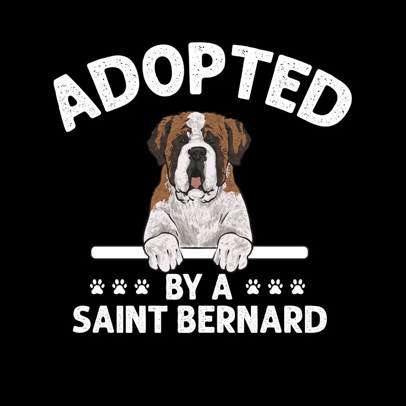 Saint-Bernard Chien Saint-Bernard
