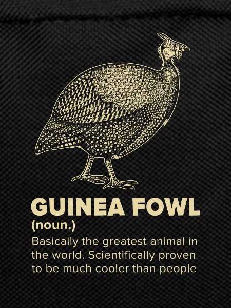 Guinea fowl