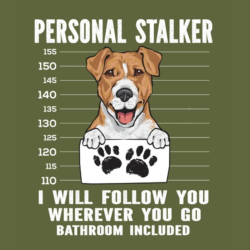 Jack Russell Terrier