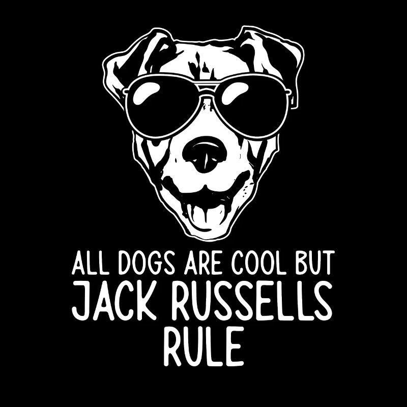 Jack Russell Terrier