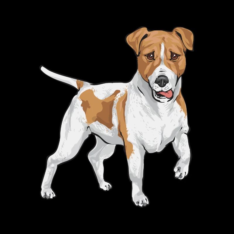 Jack Russell Terrier