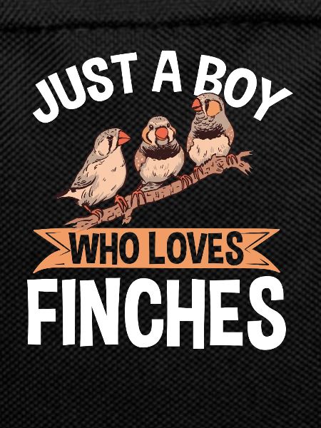 Zebra Finches Bird Zebra Finch