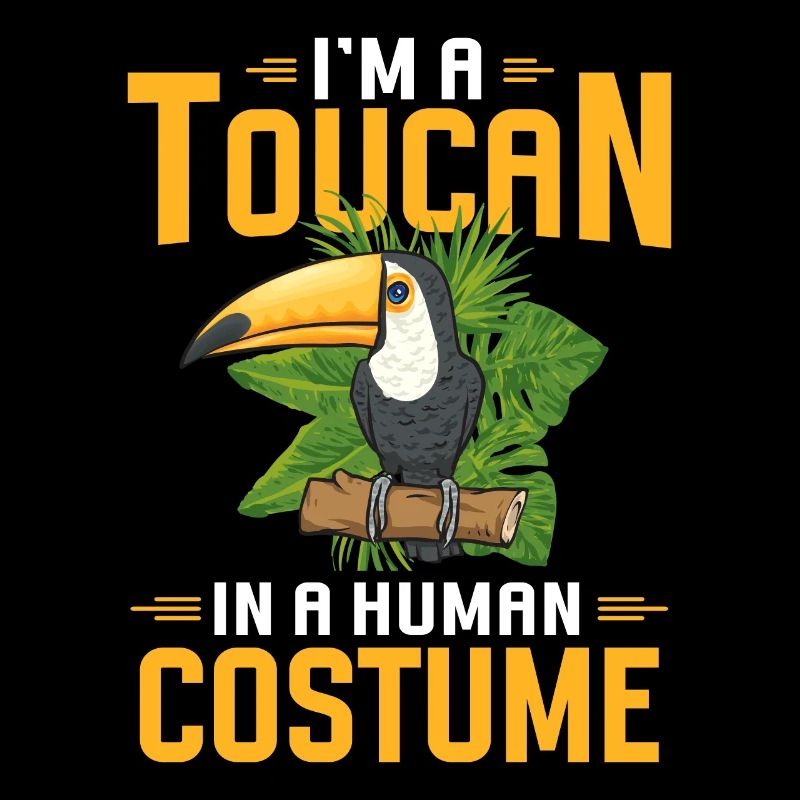 Toucan Bird Rainforest