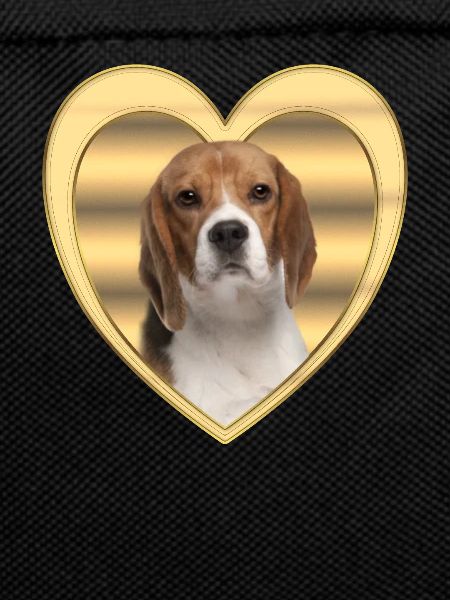 Beagle - Dog Lover - Dog Heart