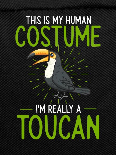 Toucan Bird Rainforest