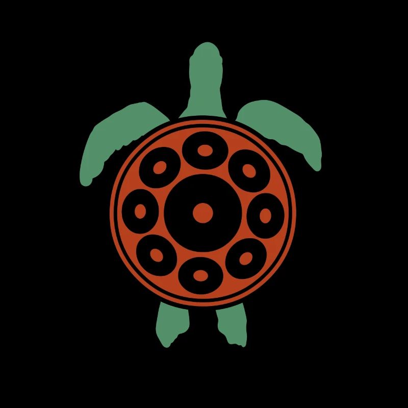 Play Handpan Turtle Handpan