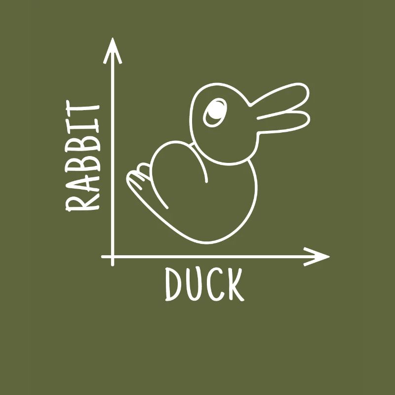 Rabbit Duck Illusion
