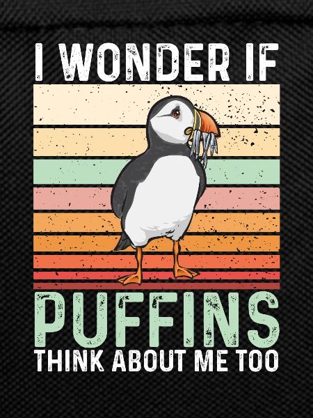 puffin puffin auke birds Lunde