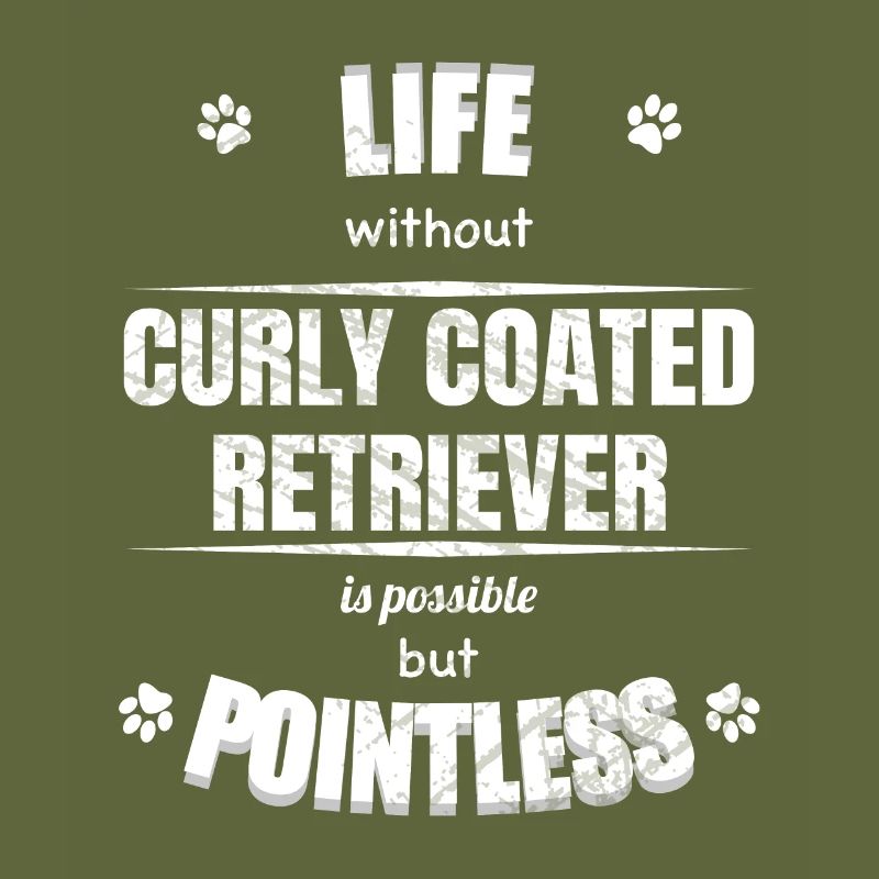 Life is possible pointless Curly Coated Retriever