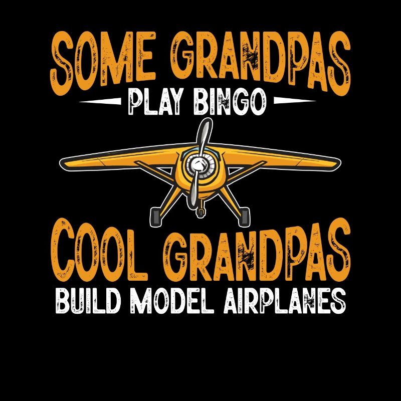 Remote Controlled Airplane Model Airplane