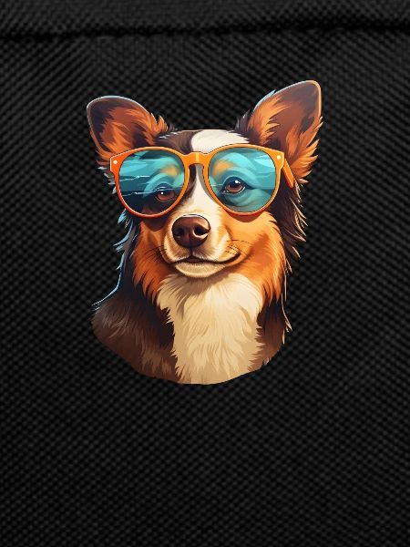 Hund Sonnenbrille