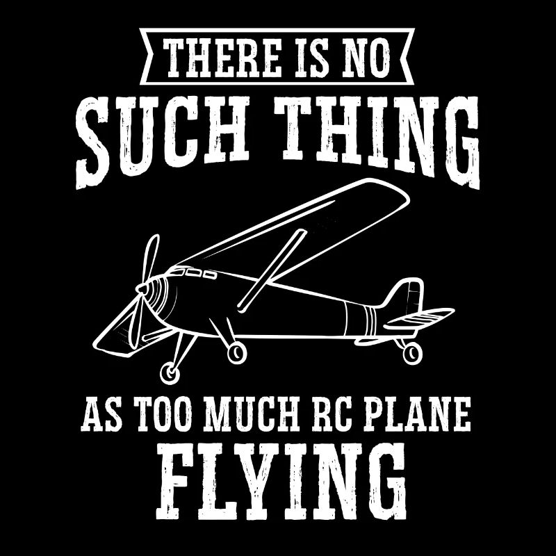 Remote Controlled Airplane Model Airplane
