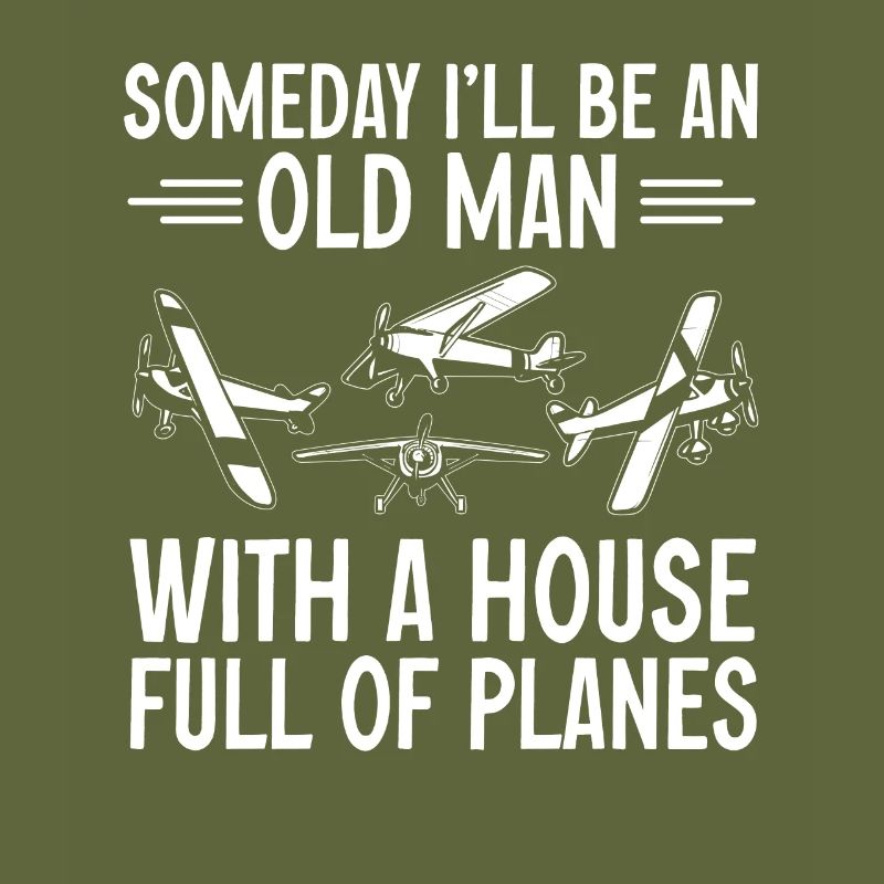 Modèle d’avion télécommandé